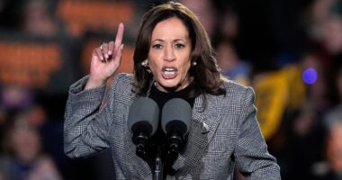 Harris will call Trump ‘unstable’ and ‘obsessed with revenge’ in DC closing speech