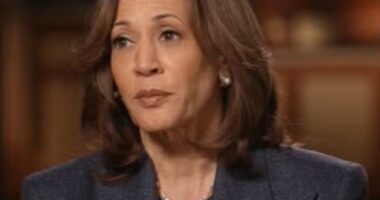 Harris’s Fox interview starts off with fireworks as she gets into heated exchange over border security