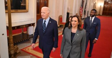 Harris’s team reportedly keeps Biden from campaign trail in a ‘slow-moving break-up’