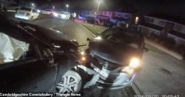 Memlika, 44, caused a head on crash on September 20 when she drove her black Mercedes A Class while three-and-a-half times the alcohol limit