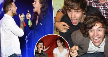 Harry Styles reacts to Liam Payne's death