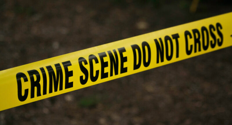 Head, Hands of Teen Girl Last Seen in 2005 Found in Freezer