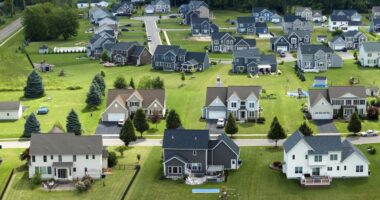 Home prices hit a new record high, but the pace of growth is slowing significantly and ‘showing signs of strain’ 