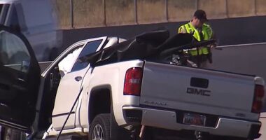A mother driving a pickup truck (pictured)  down an an Arizona freeway crashed into a tow truck