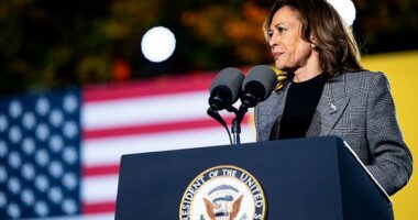 Vice President Kamala Harris speaks during a campaign rally on October 28 in Michigan