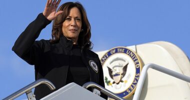 How Kamala Harris is trying to bleed support from Donald Trump by infiltrating rural Pennsylvania counties