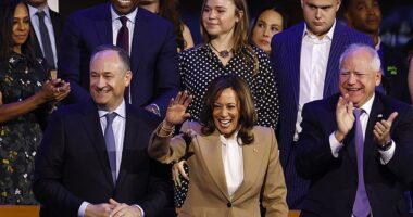 Aside from the occasional sighting on the campaign trail, including an on-stage appearance at the Democratic National Convention in Chicago this summer, Maya has been nearly nowhere to be seen. Certainly, she has no official campaign title.