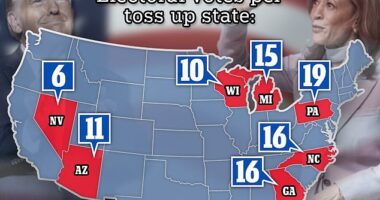 Seven states are considered swing states in the 2024 presidential race with 93 electoral votes up for grabs, but the path to the White House will come down to who wins Pennsylvania, Georgia and North Carolina