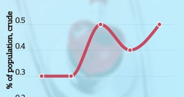 Data shows that heart attack cases are on the rise, Dr Bhatt said, but doctors are still disagreeing over what could be causing the uptick