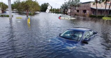 Hurricane Milton damage: What was left behind by the ‘storm of the century’ versus other hurricanes