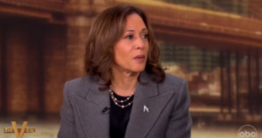 Vice President Kamala Harris on ABC News' 'The View'