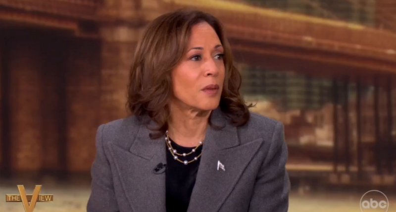 Vice President Kamala Harris on ABC News' 'The View'