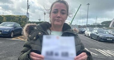 Laura Franklin, pictured, received a £170 fine for parking on a beachfront with her disabled daughter