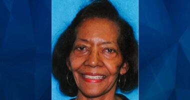 Illinois Police Seek Tips on Missing Woman with Dementia
