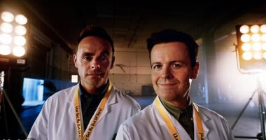The I'm A Celebrity countdown has officially begun as ITV dropped its trailer on Sunday