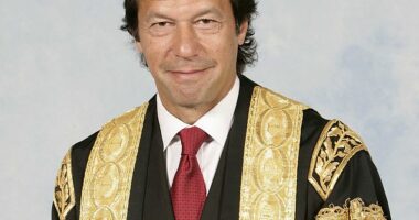 Imran Khan was born in Lahore, Pakistan, where he was educated and proved to be a fine cricketer. He made his first-class test debut for Lahore at the age of sixteen and was selected for the Pakistan cricket team in 1970, where he soon made a permanent place for himself