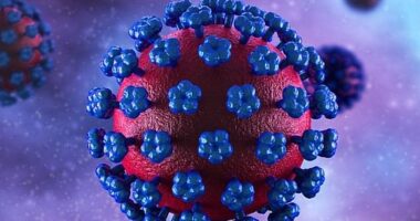 An Iowa resident has died after contracting a frightening viral disease, Lassa Fever, similar to Ebola, that leaves victims bleeding from their eyeballs