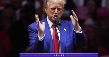 Is Trump Ahead In the Bluest 'Wall' State? – HotAir