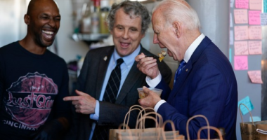 Is the 'Kamala Effect' Going to Send Ohio's Sherrod Brown Packing? – RedState