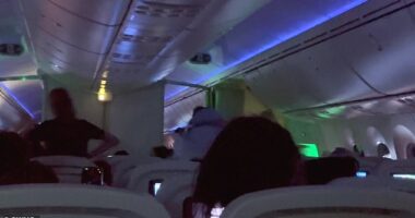 Holidaymakers onboard a rowdy TUI flight have described how seven 'drunk and unruly' passengers made their journey hell