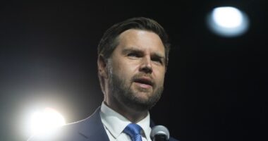 JD Vance Blasts Biden-Harris Administration for Failing to Act on American Hostages – RedState