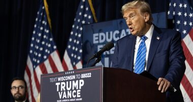 A new filing by Jack Smith details wide-ranging efforts to spread 'lies' about election fraud as part of Trump's election overturn effort