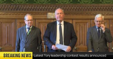 Mr Cleverly was the main beneficiary of a third round of votes by Tory MPs this afternoon after impressing at party conference in Birmingham last week.