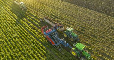 John Deere produces a wide range of equipment, including tractors, combine harvesters, construction vehicles, mowers, and snowmobiles. The company is facing backlash for its ongoing plan to lay off more American workers and shift production to Mexico.
