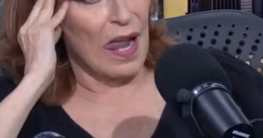 Joy Behar revealed her extremely strict rules for house guests during an episode of the Behind The Table podcast