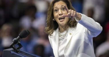 Kamala Debuts Desperate New Trump Talking Point That Goes Down in Flames Even With Joe Scarborough's Help – RedState