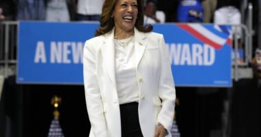 Kamala Harris Book of Achievements Consists of… Empty Pages – RedState