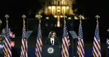 Kamala Harris Ellipse speech live: VP slams 'unstable' Trump's obsession with 'revenge' in closing election pitch