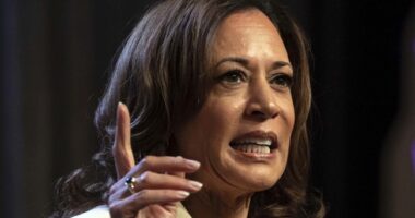 Kamala Harris Interview on 'Call Her Daddy' Podcast Raises Eyebrows and Is Completely Clueless – RedState