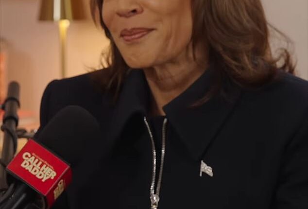 Vice President Kamala Harris defended herself again for not having any biological children during a podcast interview on Call Her Daddy