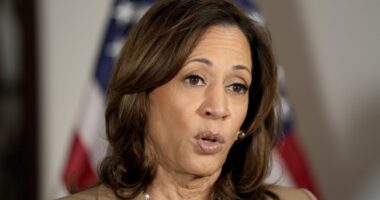 Kamala Harris Takes Vapidness to New Heights in Intervew, Shows Why Her Campaign Is Floundering – RedState