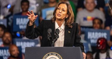 US Vice President and current Democratic presidential candidate Kamala Harris speaks during a campaign rally at Williams Arena in Greenville, North Carolina.