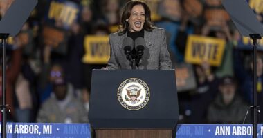 Vice President Kamala Harris laughs during her rally at Burns Park in Ann Arbor, MI