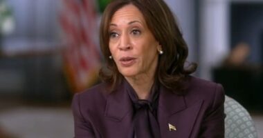 Vice President Kamala Harris sat down with '60 Minutes' where correspondent Bill Whitaker grilled her on whether the Biden administration should have acted sooner in its response to the immigration crisis at the southern border. She called on Congress to act, but he pushed back pointing out Biden took executive action