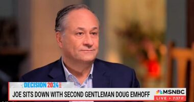 Second gentleman Doug Emhoff was asked about 'tabloid' stories during an interview on MSNBC. He didn't deny bombshell DailyMail.com stories, instead saying he and his VP wife 'don't have time to be pissed off'