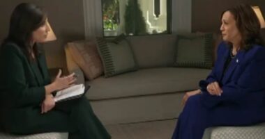Kamala Harris interview live: VP reveals if she would pardon 'felon' Donald Trump