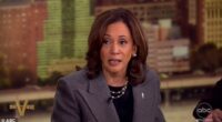 Kamala Harris appeared on The View for a friendly interview