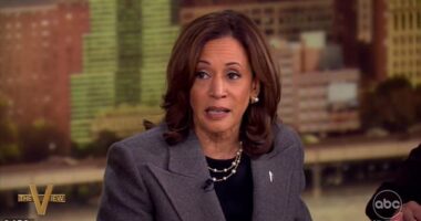 Kamala Harris appeared on The View for a friendly interview