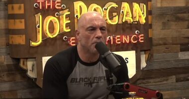 Kamala Harris's campaign is reportedly in talks with podcasted Joe Rogan's team to sit for an interview on his show, the 'Joe Rogan Experience' ahead of Election Day