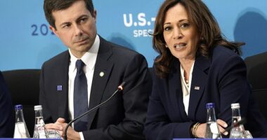 U.S. Vice President Kamala Harris speaks at a meeting with Pete Buttigieg.