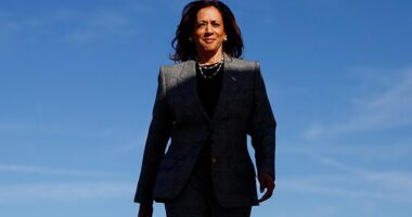 Vice President Kamala Harris walking to board Air Force Two to depart for Michigan on Monday. Before she departed to the swing state, she responded to Donald Trump's rally at Madison Square Garden amid fallout over the racist and sexist remarks from speakers