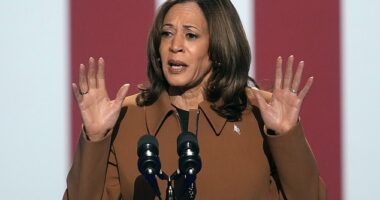 A protester demanding an end to the war in Gaza derailed the start of Kamala Harris ' speech at a campaign event with Michelle Obama on Saturday