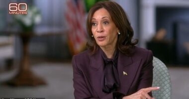 Armed: Vice President Kamala Harris told 60 Minutes she owns a Glock handgun