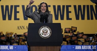 Vice President Kamala Harris speaking at her rally in Ann Arbor, MI on October 28