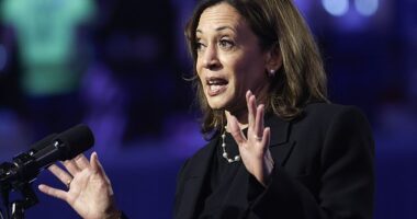 Vice President Kamala Harris speaking at her rally in Madison Wednesday night. It was the third of three rallies she had across three swing states on October 30. All three of her speeches were disrupted by hecklers protesting the war in Gaza