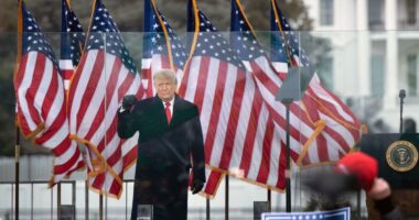 Kamala Harris to give closing election speech at spot where Trump riled up crowd before Jan 6 attack
